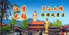 国模冰莲江苏无锡灵山大佛旅游风景区